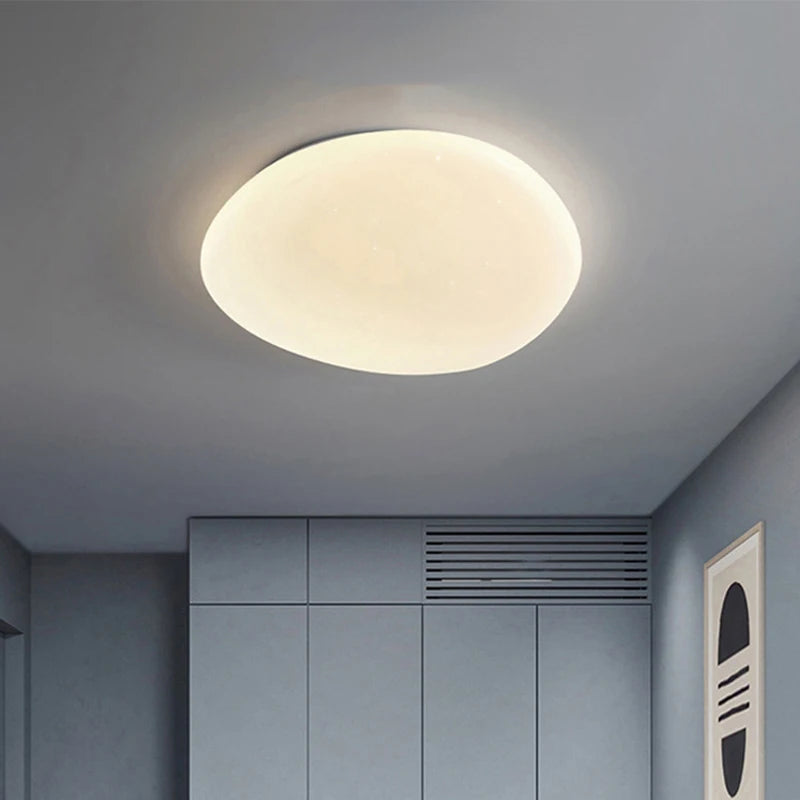 Organiczna Lampa Sufitowa LED Naturalny Kształt Kamienia