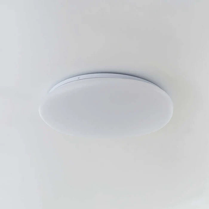 Organiczna Lampa Sufitowa LED Naturalny Kształt Kamienia