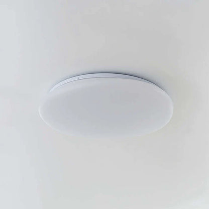 Organiczna Lampa Sufitowa LED Naturalny Kształt Kamienia