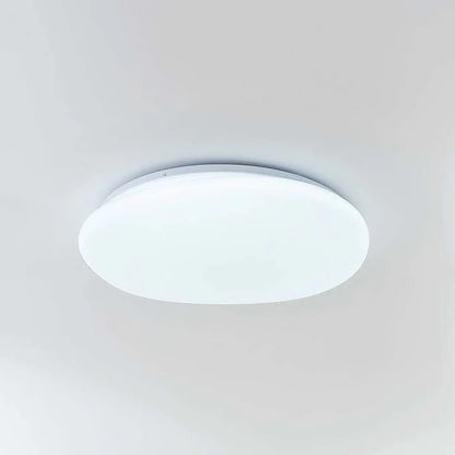 Organiczna Lampa Sufitowa LED Naturalny Kształt Kamienia